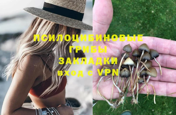 гашиш Богданович