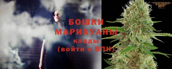 спайс Богородицк