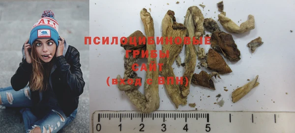 гашиш Богданович