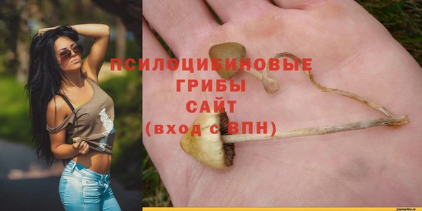 MESCALINE Богородск