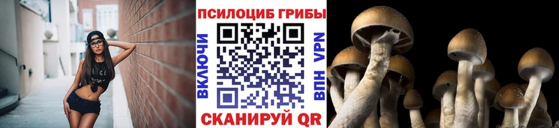 мега ссылка Горячий Ключ Псилоцибиновые грибы Psilocybine cubensis